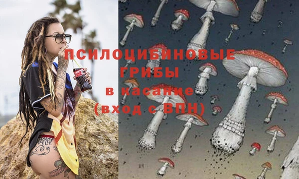 амф Алексин